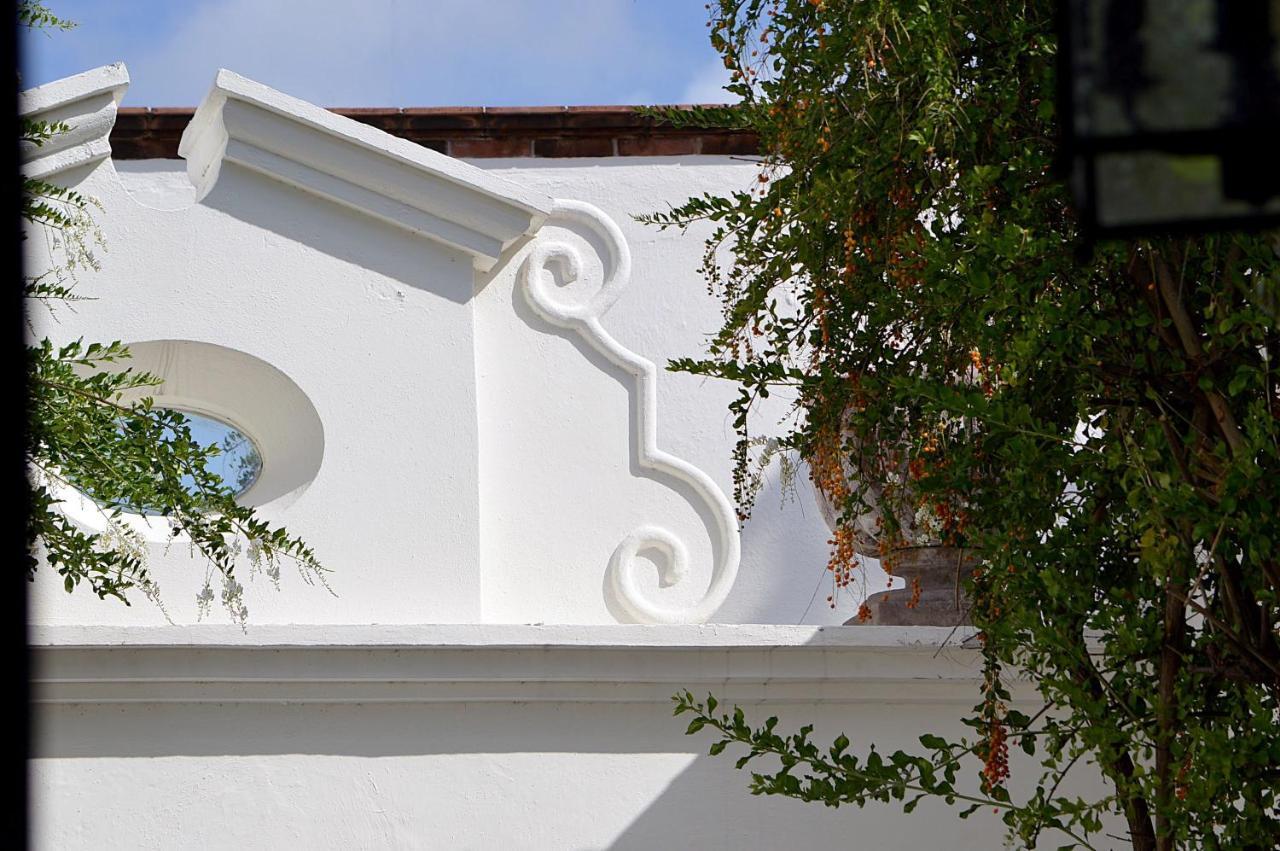 Casa De Los Olivos San Miguel de Allende Dış mekan fotoğraf
